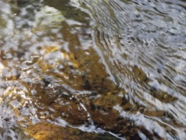 Water; 7-24-12; 12:15pm; Palisades backcountry, ID; f 5.2; 1/147; Fujifilm Finepix S2950