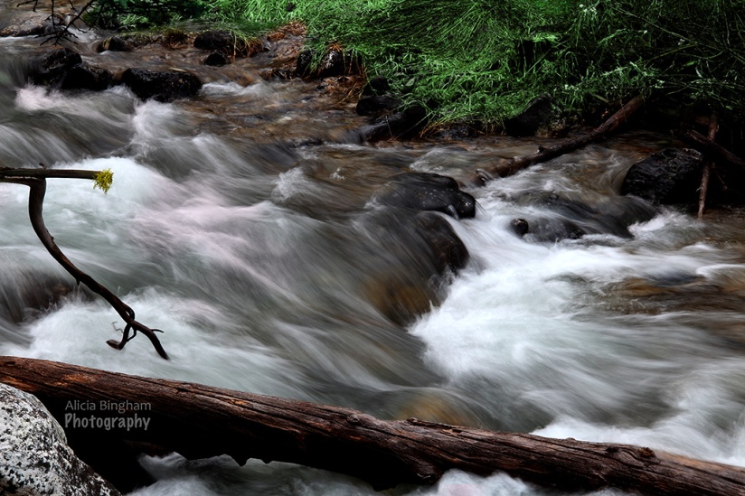 AliciaBingham-GrandTetons-Nature-Stream-Slowshutter; Grand Teton National Park-Jackson, WY; 5/17/14; 7:24am; f20; 1/5; ISO 100